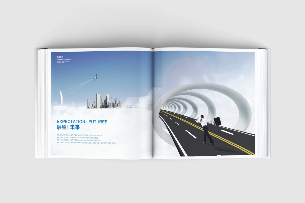 西充县画册设计